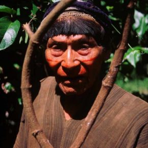 From Our Pages: "Agony and Ecstasy in the Amazon": on snuff, ayahuasca, and manhood in Peru. By Glenn H. Shepard, Jr.