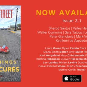 Our Summer 2018 issue, “Small Things, Partial Cures,” has hit the street and the web. Sample some of the contents here now.