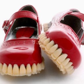 "The Museum of Teeth," an essay on an incomplete collection. By Emily Woodworth.