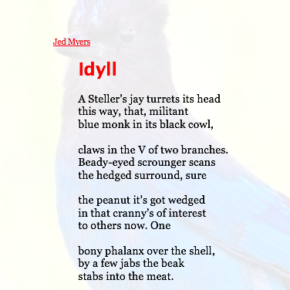 Share This Poem: "Idyll," by Jed Myers.